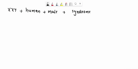 question-2-fill-in-ne-blanks-an-individual-has-xxy-as-their-sex-chromosomes-if-they-are-human-they-are-they-ate-fruit-fly-and-are-diploid-unavc-2-sct-olautosomes-they-fernale-cmale-malc-mulc-91638