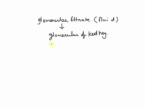 what-percentage-of-glomerular-filtrate-becomes-urine-66486