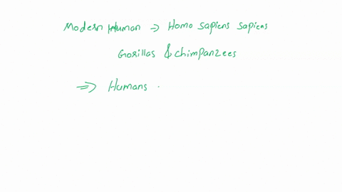 10-according-to-your-phylogeny-did-modern-humans-evolve-from-modern-apes-such-as-gorillas-and-chimpanzees-why-or-why-not-use-the-basic-principles-of-what-phylogenies-mcan-t0-help-you-with-yo-66576