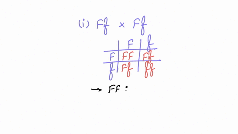 instead-of-moving-on-to-linkage-as-originally-planned-were-going-to-use-this-tutorial-to-revisit-some-concepts-many-of-you-needed-more-practice-on-when-genes-are-on-different-chromosomes-the-96104