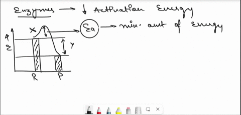 how-could-an-enzyme-change-this-reaction-2-reactants-products-an-enzyme-can-lower-bu-no-x-enzyme-can-lower-x-but-increase-an-enzyme-can-jower-both-x-and-an-enzyne-can-jower-x-but-no-40463