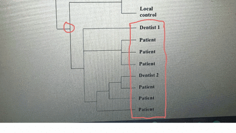 10-moving-on-to-case-study-ii-describe-where-you-would-label-the-location-on-the-tree-that-indicates-where-the-virus-was-transmitted-to-the-dentist-explain-your-logic-11-does-the-phylogeny-f-45418