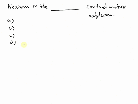 neurons-in-the-________-control-motor-reflexes-thalamus-spinal-cord-parietal-lobe-hippocampus-05982