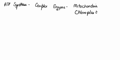 describe-how-atp-synthase-operates-works-36184