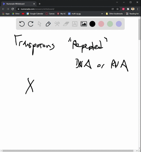 transposons-a-always-use-rna-for-replication-b-are-approximately-50-bp-long-c-are-made-up-of-eithe-2-50153