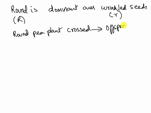 round-peas-are-produced-much-more-often-than-wrinkled-peas-in-a-species-of-pea-plant-the-allele-for-round-is-given-as-r-and-the-allele-for-wrinkle-as-r-when-two-pea-plants-that-both-produce-17235