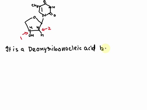 the-molecule-below-is-monomer-of-we-know-this-because-of-the-structure-of-the-carbon-labeled-hc_-nh-chz-ha-3-ioh-7-2-rna-rna-2-dna-3-dna-2-dna-rna-3-18614