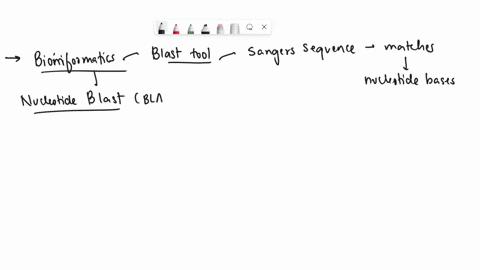 which-blast-tool-would-you-use-to-determine-if-a-sanger-sequencing-result-matches-to-any-known-sequences-in-the-nucleotide-database-nucleotide-blast-blastx-tblastn-protein-blast-04028