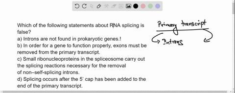 which-of-the-following-statements-about-rna-splicing-is-false-a-introns-are-not-found-in-prokaryotic-genes-b-in-order-for-a-gene-to-function-properly-exons-must-be-removed-from-the-primary-t-44786