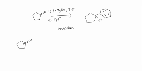 3-provide-the-arrow-pushing-mechanisms-for-the-following-reaction-phmgbr-thf-2-h3o-oh-98426
