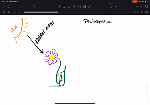 plants-use-sunlight-to-convert-nutrients-into-energy-what-form-of-energy-transfer-is-taking-place-the__-energy-of-the-sun-is-converted-into__-energy-by-the-plants-1-a-chemical-b-potential-c-09688
