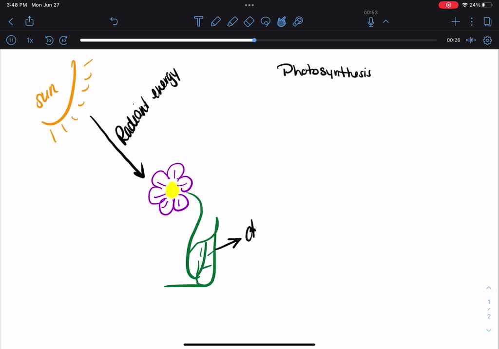 SOLVED Plants use sunlight to convert nutrients into energy. What form