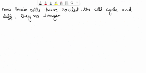 pls-help-1poirt-which-group-of-cells-would-be-least-likely-to-contain-cells-in-s-phase-cells-of-the-mammalian-brain-that-are-no-longer-dividing-asexual-reproduction-to-produce-a-population-o-24891