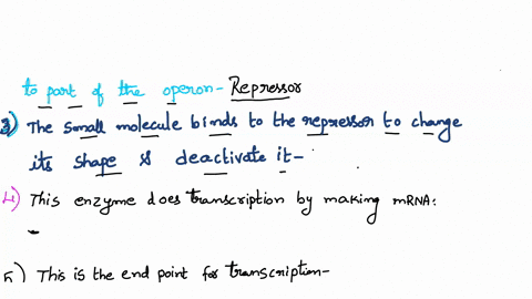 repressor-promoter-inducer-termination-sequence-structural-genes-operator-g-rna-polymerase-regulatory-gene-corepressor-the-dna-of-the-operon-that-is-actually-translated-into-proteins-the-pro-79788