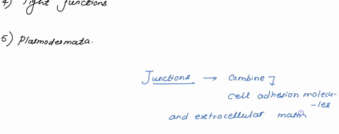 found-in-cell-junction-animal-or-plant-cell-or-both-anchoring-junctions-desmosomes-adhering-junetions-tight-junctions-gap-junctions-plasmodesmata-98829