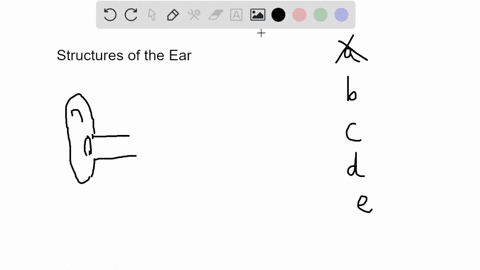 which-one-of-these-wouldnt-you-mention-if-you-were-tracing-the-path-of-sound-vibrations-through-the-70418