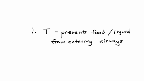 select-all-that-apply-which-events-take-place-during-the-swallowing-reflex-the-epiglottis-covers-the-larynx-constrictor-muscles-relax-to-open-the-esophagus-soft-palate-raises-preventing-food-from-ente