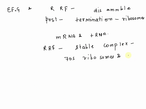 which-of-the-following-expels-unbound-trnas-from-the-and-e-channels-during-translation-termination-exon-junction-complex-ejc-proteins-relcase-factors-rf-ribosomc-recycling-factor-rrf-and-clo-70023