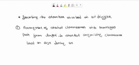 descriptions-of-some-structures-involved-in-cell-division-arrangement-of-stained-chromosomes-into-homologous-pairs-from-longest-to-shortest-non-condensed-dna-a-specialized-region-on-chromoso-22693