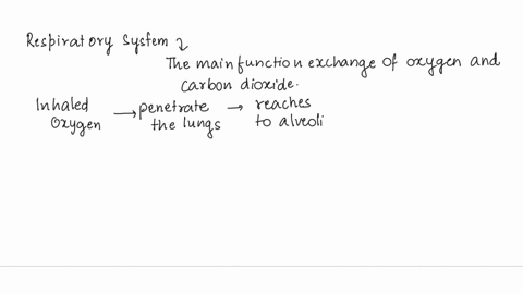 capillaries-function-in-gas-exchange-describe-at-least-two-ways-capillary-structure-is-related-to-this-function-04759