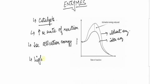 short-answer-what-features-do-all-reactions-involving-enzymes-have-in-common-60544