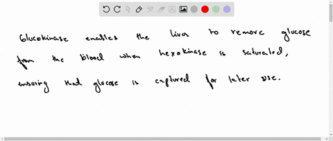 why-is-it-advantageous-for-the-liver-to-have-both-hexokinase-and-glucokinase-to-phosphorylate-glucos-10457