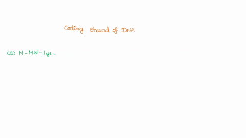 below-is-the-coding-strand-of-dna-assume-the-first-start-codon-is-where-translation-starts-what-amino-acid-sequence-would-be-translated-from-this-strand-of-dna-5-actgatgaaatattcc-3-coding-st-27252