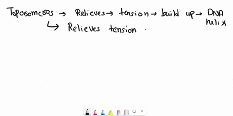 indicate-the-role-of-each-of-the-following-in-dna-replication-a-topoisomerase-b-helicase-c-primaseand-d-ligase-79886
