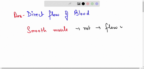 which-of-the-following-is-not-true-of-smooth-muscle-causes-peristalsis-in-the-digestive-tract-assists-voiding-of-urine-direct-flow-of-blood-assists-in-respiration-34333