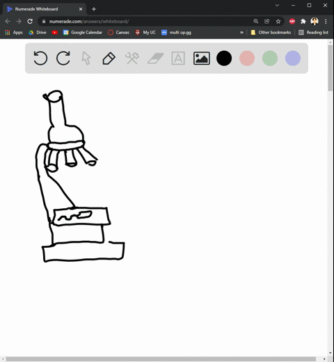 complete-the-following-questions-which-type-of-microscope-would-you-use-to-observe-the-swimming-beha-76652