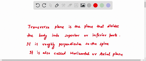 which-of-the-following-planes-divides-the-body-into-a-superior-and-inferior-half-30464