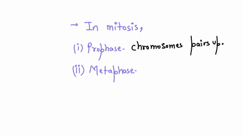 identify-the-stages-of-mitosis-depicted-in-the-cells-below-12673