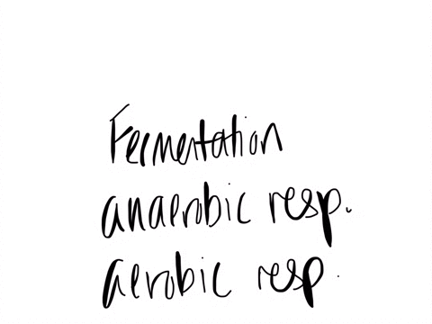 you-are-trying-to-culture-an-organism-categorized-as-a-facultative-anaerobic-chemoorganoheterotroph-this-organism-can-do-fermentation-anaerobic-respiration-or-aerobic-respiration-which-of-the-three-ph