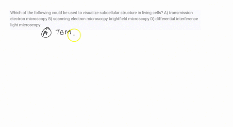 which-of-the-following-could-be-used-to-visualize-subcellular-structure-in-living-cells-a-transmission-electron-microscopy-b-scanning-electron-microscopy-brightfield-microscopy-d-differentia-38473