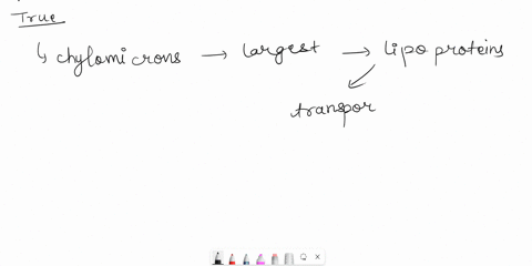 chylomicrons-the-largest-of-the-lipoproteins-transport-fat-directly-from-digestion-to-tissues-true-or-false-23034