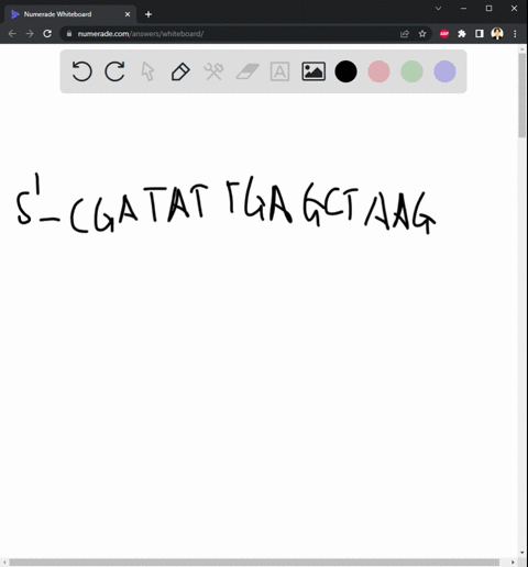 write-the-complementary-sequence-for-the-following-dna-sequence-in-order-from-3-to-5-5cgatattgagctaagctt3-55308