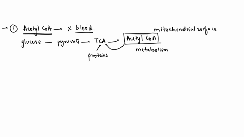 51-mammalian-cells-derive-chemical-energy-from-a-variety-of-fuel-molecules-which-are-delivered-to-them-in-the-bloodstream-which-one-of-the-following-is-never-taken-up-as-a-fuel-molecule-from-88561