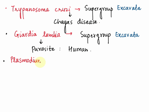 typanosoma-ciuzi-belongs-l0-the-supergroup-excavala-and-causes-the-deadly-chagas-disease-ihat-plagues-central-and-south-america-trypanosoma-cruzi-sar-giardia-lambla-belongs-to-the-supergroup-48322