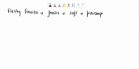 78-distinguish-between-fleshy-fruits-dry-dehiscent-fruits-and-dry-indehiscent-fruits-give-one-example-for-each-you-can-make-a-chart-to-illustrate-your-answer_-79-compare-monocots-and-dicots-26485