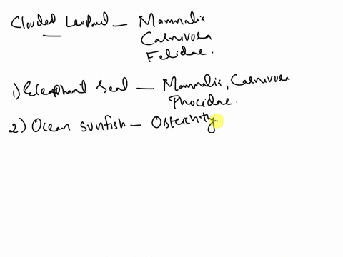 to-which-other-animal-is-the-clouded-leopard-neofelis-nebulosa-most-closely-related-the-clouded-leopard-is-in-the-class-mammalia-order-carnivora-family-felidaegroup-of-answer-choices-a-south-93095