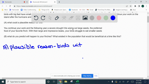 charles-darwin-observed-that-there-were-numerous-species-of-finches-lived-on-the-galapagos-islands-and-that-within-the-different-populations-there-was-variation-in-traits-of-these-birds-the-42734