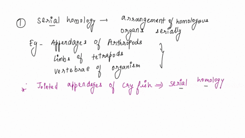 1-define-serial-homology-how-do-the-jointed-appendages-of-the-crayfish-illustrate-this-concept-2what-is-the-scientific-name-for-the-large-pincers-of-the-crayfish-including-the-pincers-how-ma-58757
