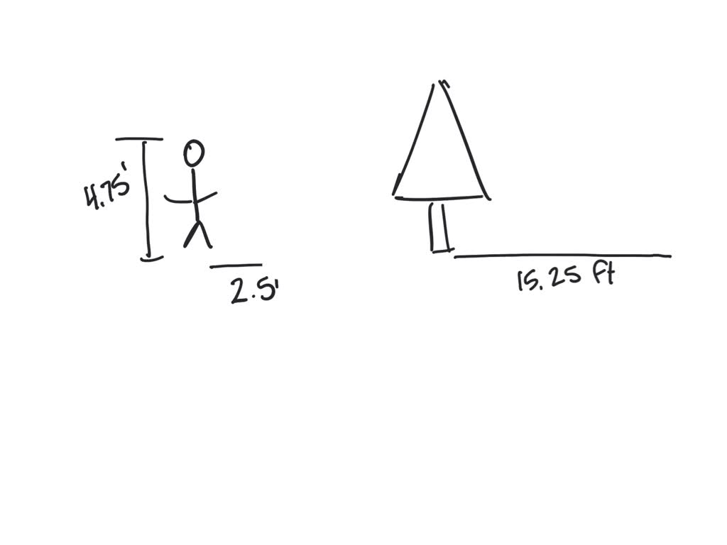SOLVED: A kudzu plant is 1 6/7 feet tall. Over time, the plant grows to