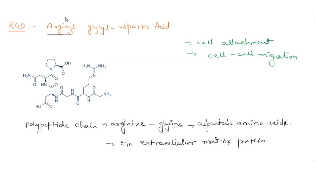 SOLVED The effect of BSA on the attachment of NIH3T3 to cell culture