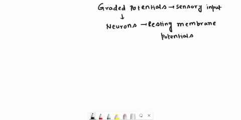 graded-potentials-are-1_-deviations-from-resting-and-travel-2_-distances-they-occure-on-3_-and-rely-on-4_-gates-in-sensory-neurons-and-5_-gates-in-moter-nuerons-1-small-or-large2-short-or-lo-79392