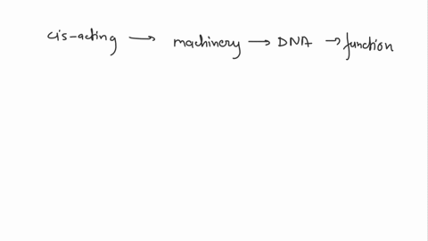 promoters-are-promoters-considered-cis-or-trans-acting-comodnents-of-the-regulatory-machinery-cis-acting-trans-acting-explain-why-this-label-applies-wnere-are-promoters-locatec-relative-to-t-32069