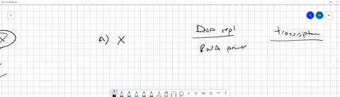 1a-correct-comparison-between-transcription-and-dna-replication-is-that-a-typically-the-first-nucleic-acid-synthesized-in-transcription-is-an-rna-made-without-a-primer-while-dna-replication-75704