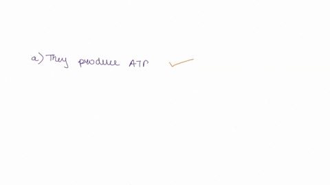which-are-characteristics-of-mitochondria-choose-all-that-apply-a-they-produce-atp-b-cellular-respiration-occurs-here-c-they-produce-proteins-d-they-use-oxygen-they-are-the-reason-why-humans-74293