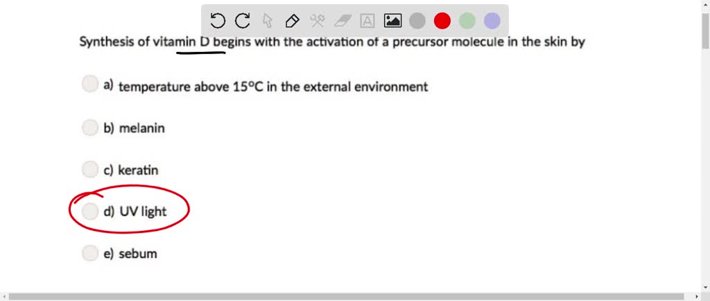 SOLVED: Question 55 (1 point) Synthesis of vitamin D begins with the ...