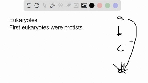 which-of-the-following-events-occurred-first-in-eukaryotic-evolution-a-endosymbiosis-and-mitochondri-81555